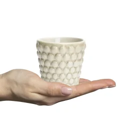 Mateus Bubbles Espressokopp 10 Cl Sand New