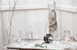 Holmegaard Cabernet Lines Champagneglass 29 Cl 2-Pakning Sale