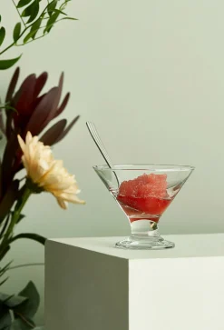 Aida Cafe Dessertskal 16,5 Cl Online