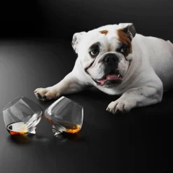 Normann Copenhagen Cognac Glass 25 Cl Fashion