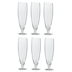 Eva Solo Ølglass 6-Pakn. Best