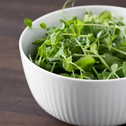 Kähler Hammershoi Skal O21 Cm Online