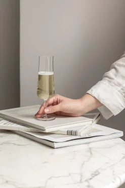 Orrefors Informal Champagneglass 22 Cl 2-Pakning Fashion