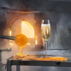 Orrefors Merlot Champagneglass Outlet