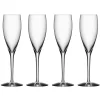 Orrefors More Champagneglass 4-Pakk Clearance
