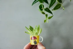 Arabia Mummi Minikopper 6-Pakning Tredje Classic Clearance