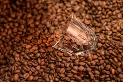 Nachtmann Noblesse Barista Espresso Glass 9 Cl 2-Pakning Sale