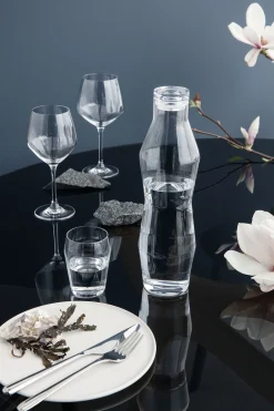 Holmegaard Perfection Vannglass Klar 6-Pakning New