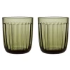 Iittala Raami Vannglass 2- Stk. Mosegronn Best